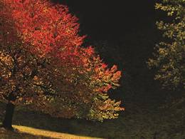 Fotoplenér Jesenný Liptov 2018 Fotoplenér Jesenný Liptov 2018