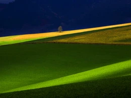 Vstava: arovn Slovensko (ZSF)