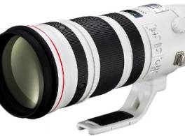 Canon EF 200-400mm f/4L IS USM Extender 1.4x