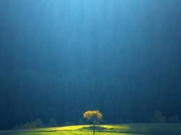 Fotoplenér 2019 Fotoplenér 2019