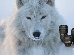 Nikon Cashback - Zima 2016