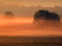 FARBY JESENE 2025 - Fotoplenr ZSF