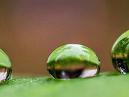 Olympus Cashback leto 2017 Olympus Cashback leto 2017