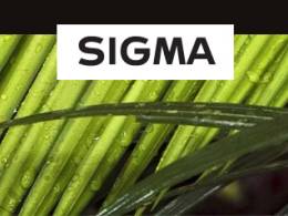 Sigma 28mm f1,4, 40mm f1,4, 70-200 f2,8 Sports a 60-600 Sports - nové objektívy Sigma 28mm f1,4, 40mm f1,4, 70-200 f2,8 Sports a 60-600 Sports - nové objektívy