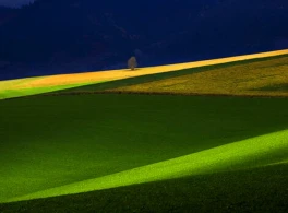 Vstava: arovn Slovensko (ZSF)