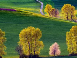 Fotoplenr Jarn Liptov