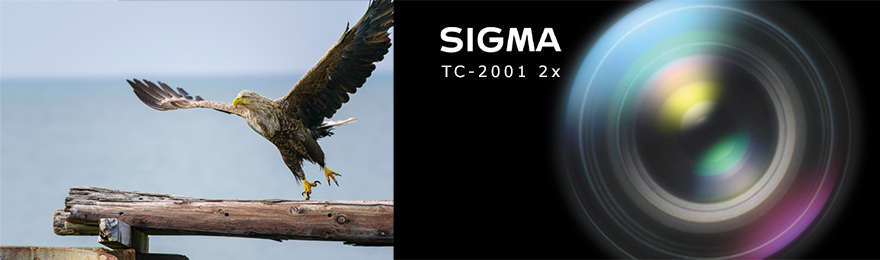 sigma tc 2x