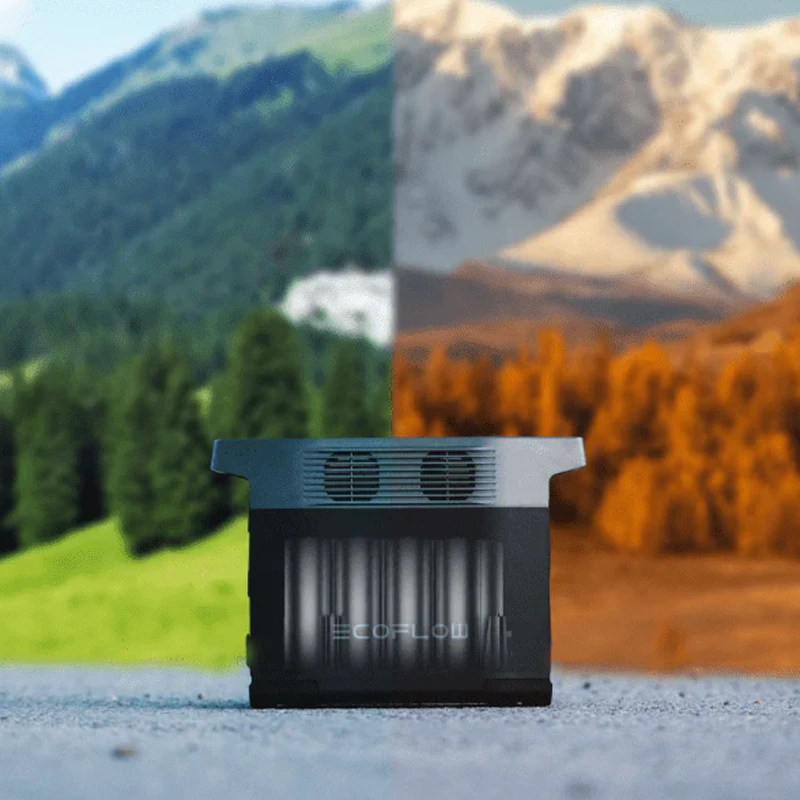 EcoFlow DELTA 2