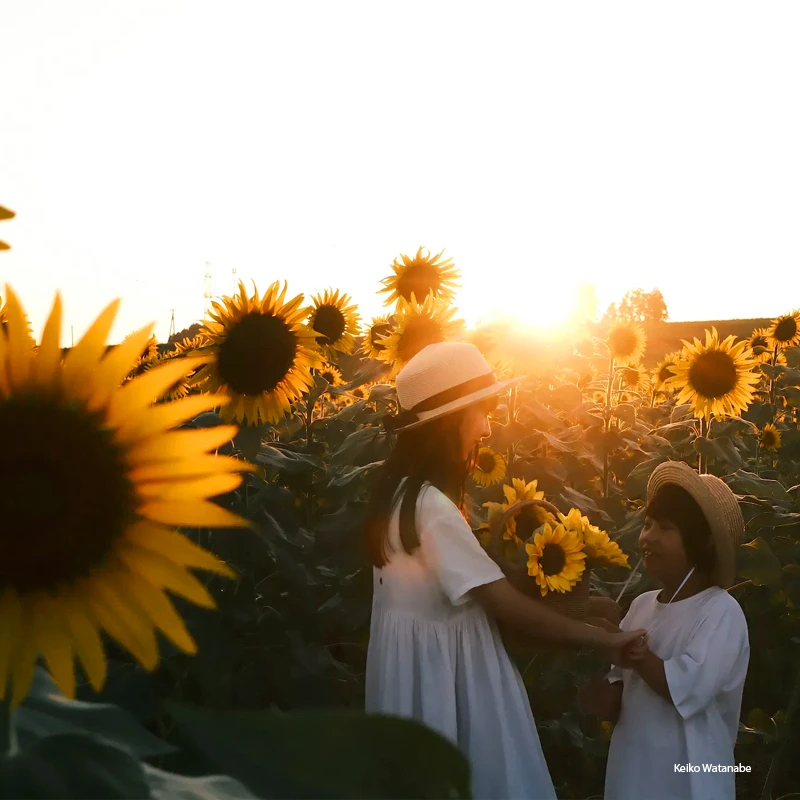 Fujifilm XC 13-33mm f/3.5-6.3 OIS