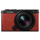 Lumix s9