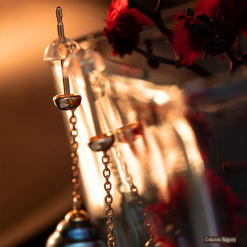 Panasonic LUMIX S 100mm F2.8 MACRO