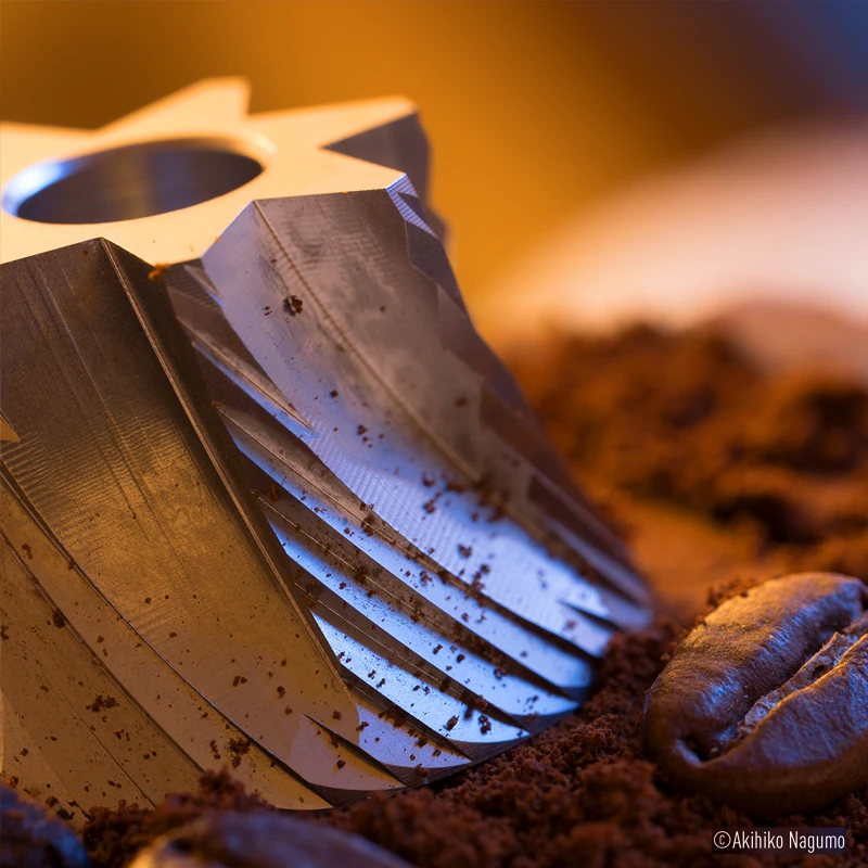 Panasonic LUMIX S 100 mm F2.8 MACRO