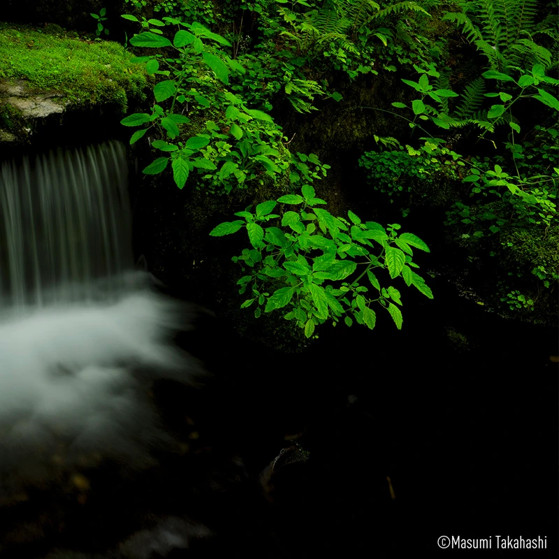 Panasonic LUMIX S PRO 24-70mm F2,8