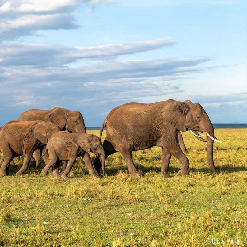 panasonic 70-200 f2,8