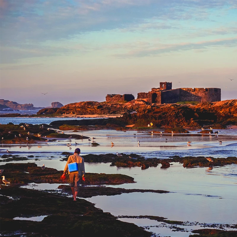 Panasonic Lumix DC-G97