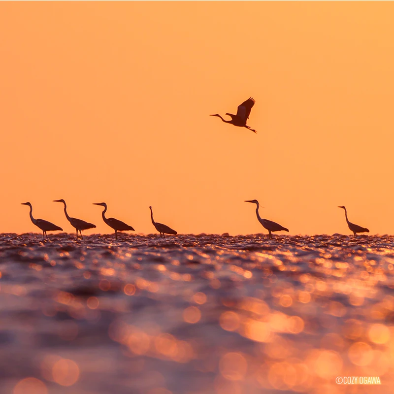 Panasonic Lumix DC-G9II