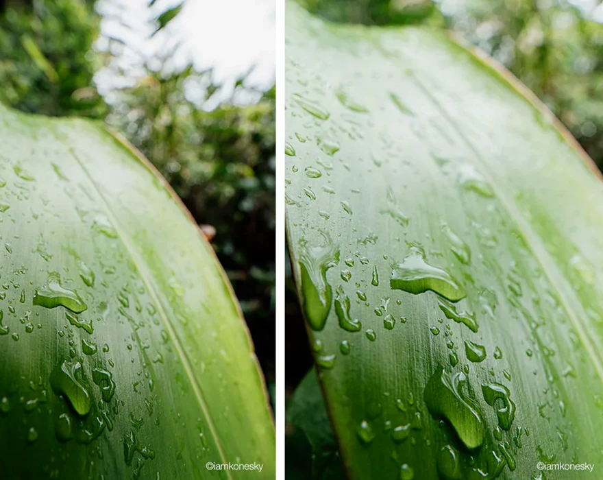 Samyang AF 16mm F2.8 P FE 