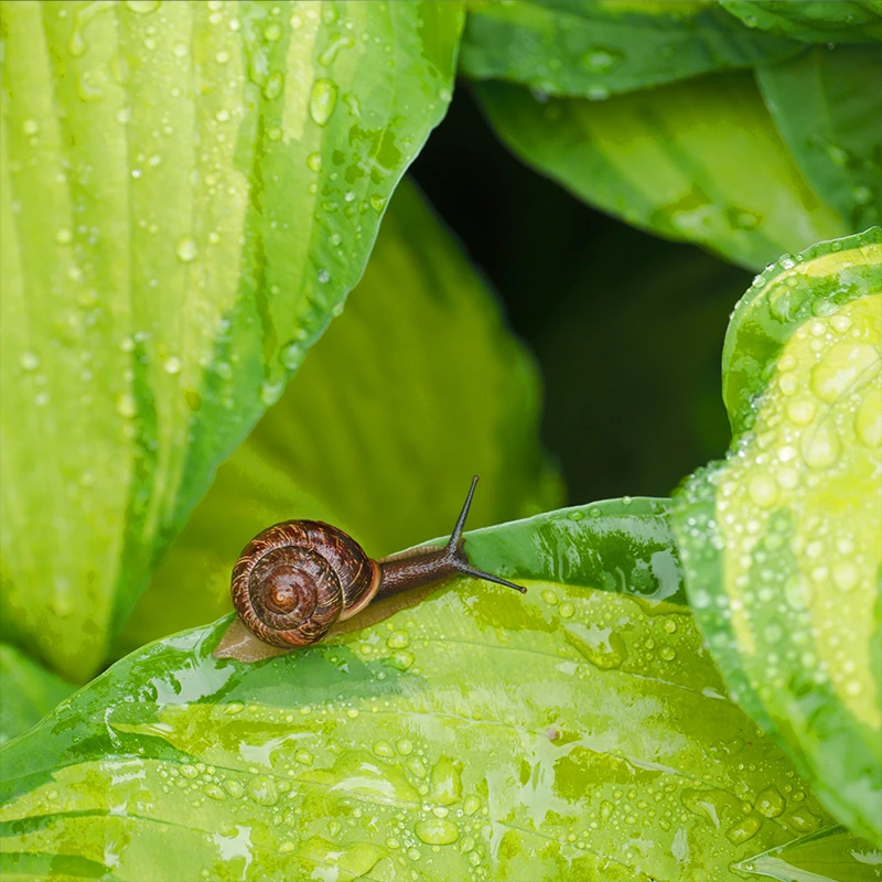 SIGMA 20-200mm F3.5-6.3