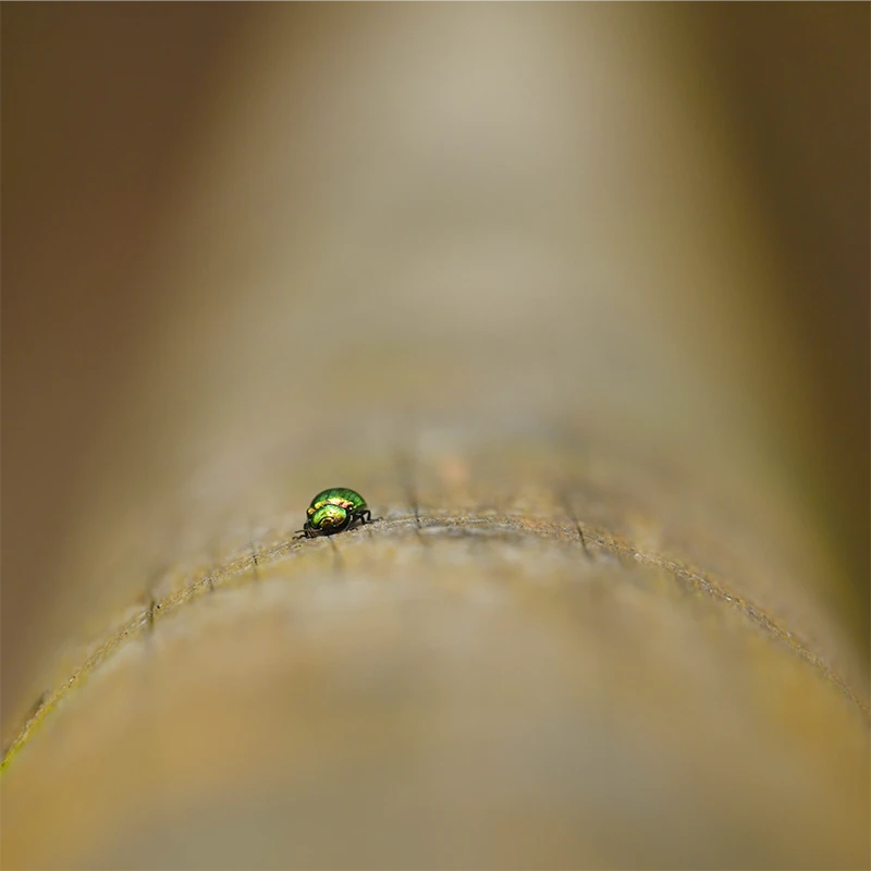 SIGMA 20-200mm F3.5-6.3