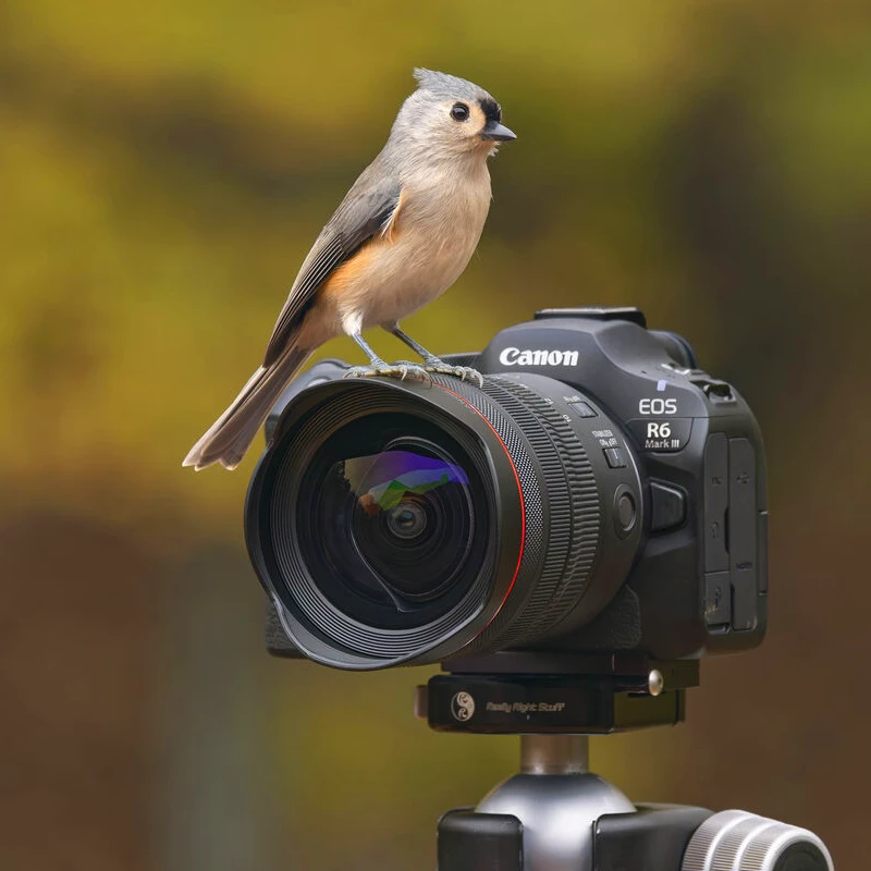 Canon EOS R6 Mark III