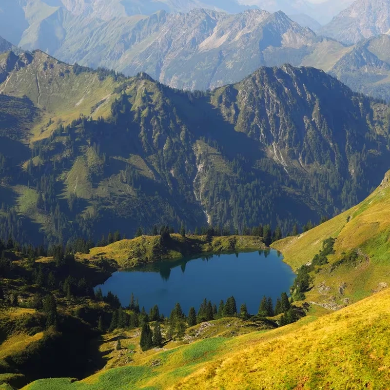 canon eos r6 mark III