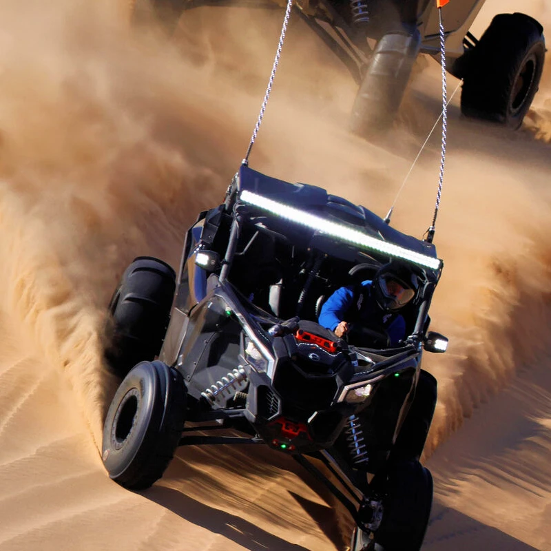 Canon RF 1200mm f/8 L IS USM