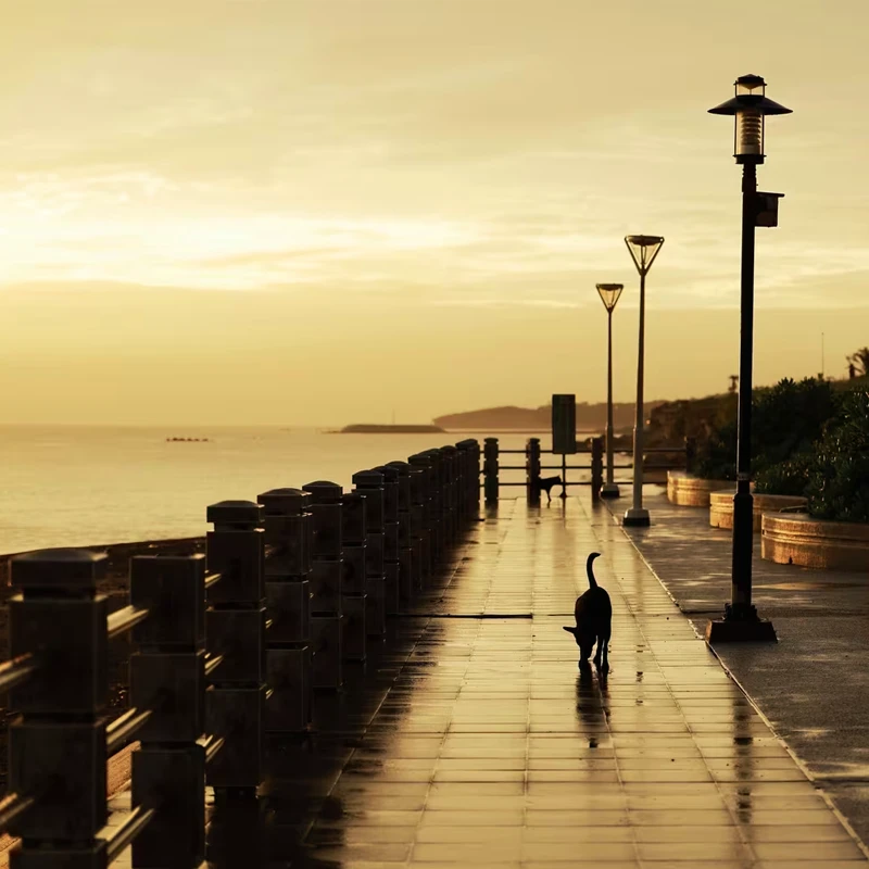 Canon RF 28-70mm f/2.8 IS STM