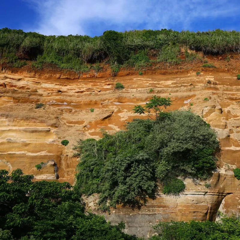 Canon RF 28-70mm f/2.8 IS STM