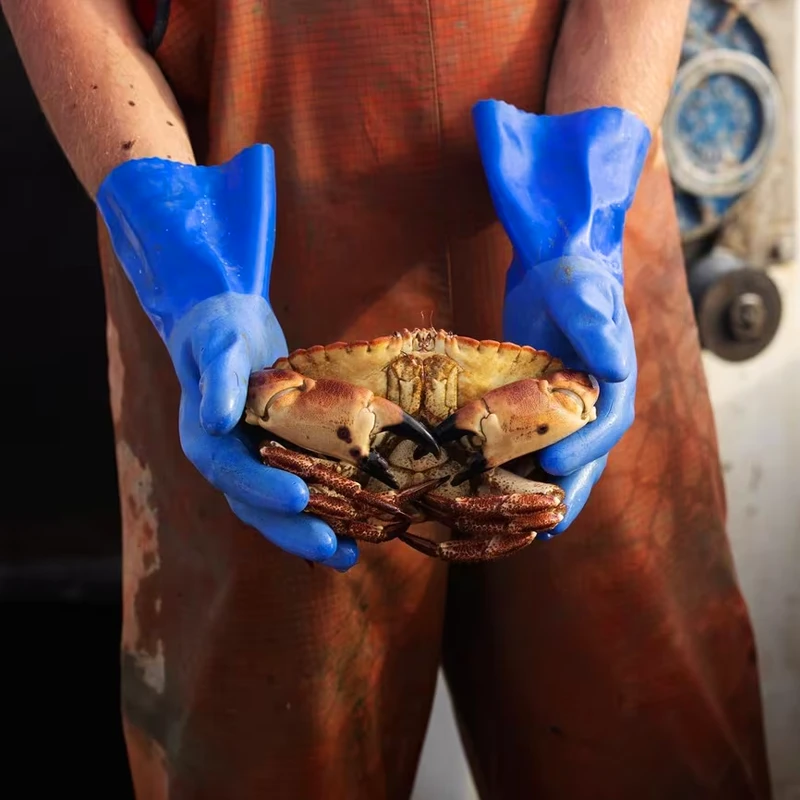 Canon RF 70-200MM F4L IS USM