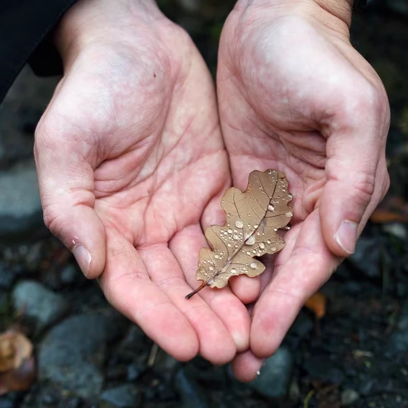 canon RF 70-200 f4L IS