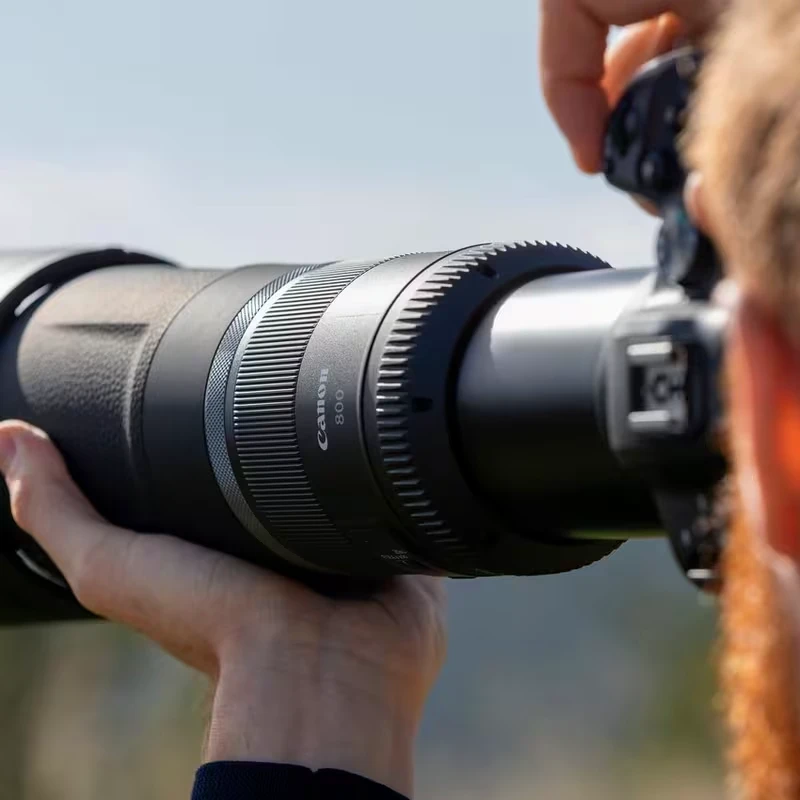 Canon RF 800mm f11 IS STM