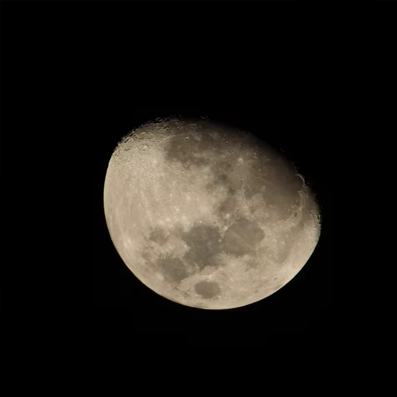 Canon RF 800mm f11 IS STM