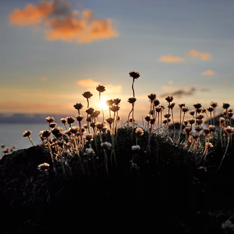 Canon RF 28-70mm f/2L USM