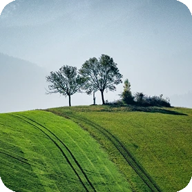 fotak na krajinu, detail, studio