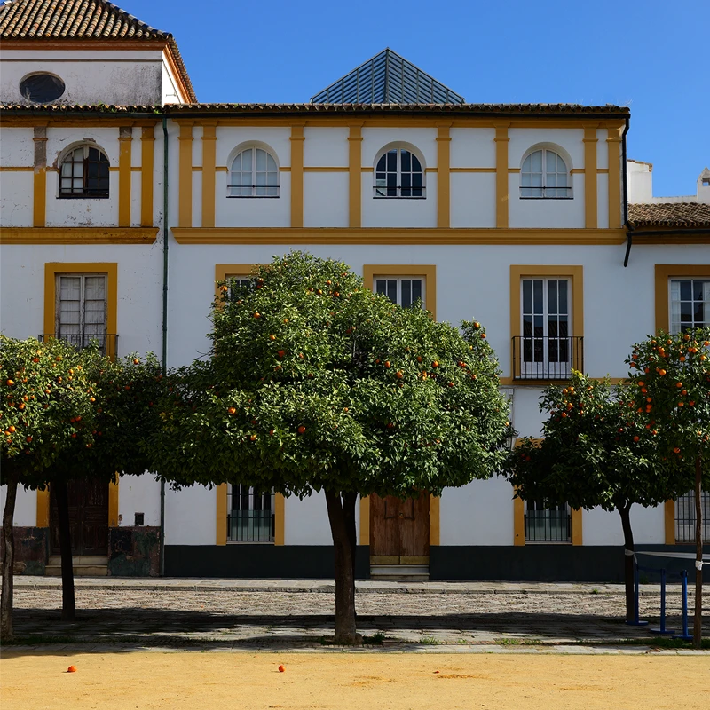 Panasonic LUMIX S 40mm f/2