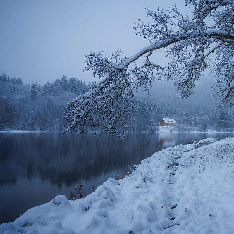 Samyang AF 12mm f/2.0 Canon RF-S