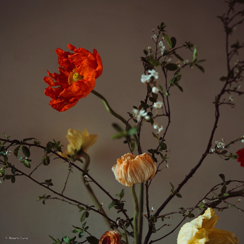 Samyang AF 35mm F1.4 Sony FE II