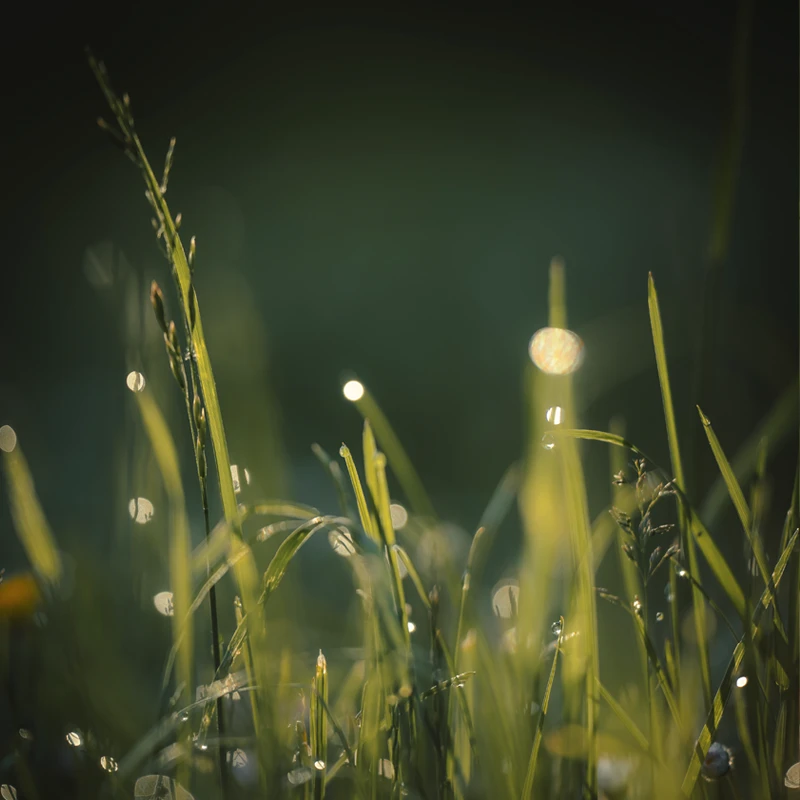 Samyang AF 60-180mm F2.8 FE