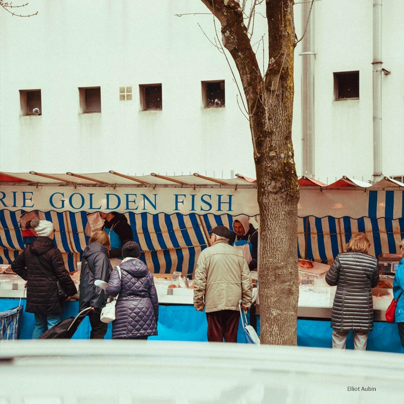 Sigma 24-70mm f/2.8 DG DN II ART