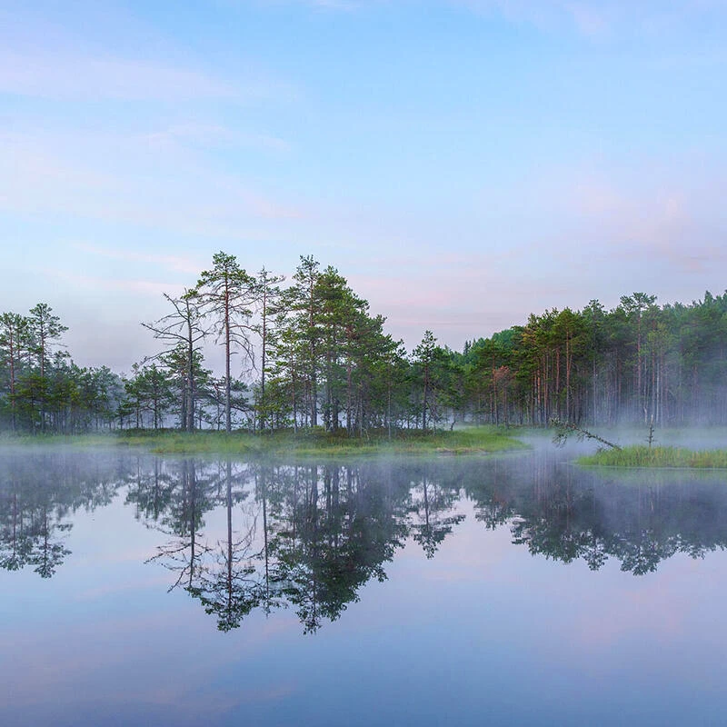 Sigma 28-105mm F2.8 DG DN Art