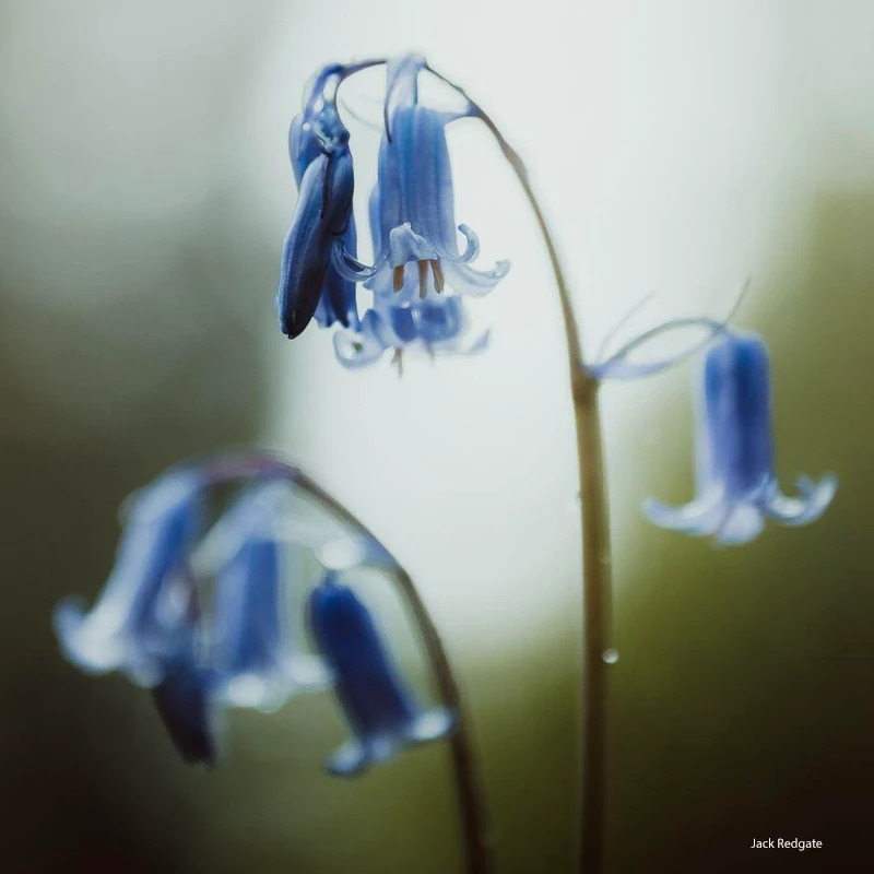 Sigma 28-45mm f/1.8 DG DN Art L-Mount