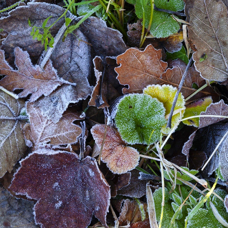 SIGMA 28-70mm f/2.8 DG DN Contemporary