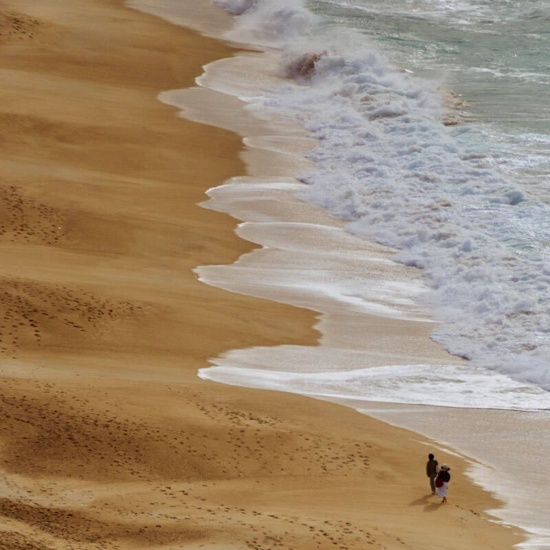 Sigma 300-600mm f/4 DG OS Sports