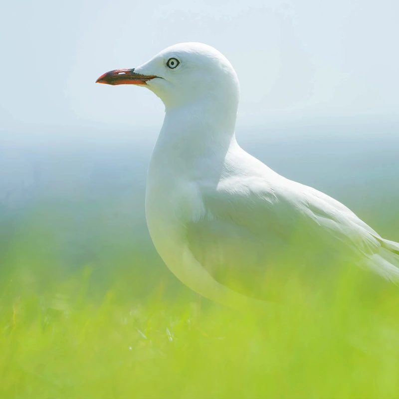 Tamron 28-300mm F/4-7.1 Di III VC VXD