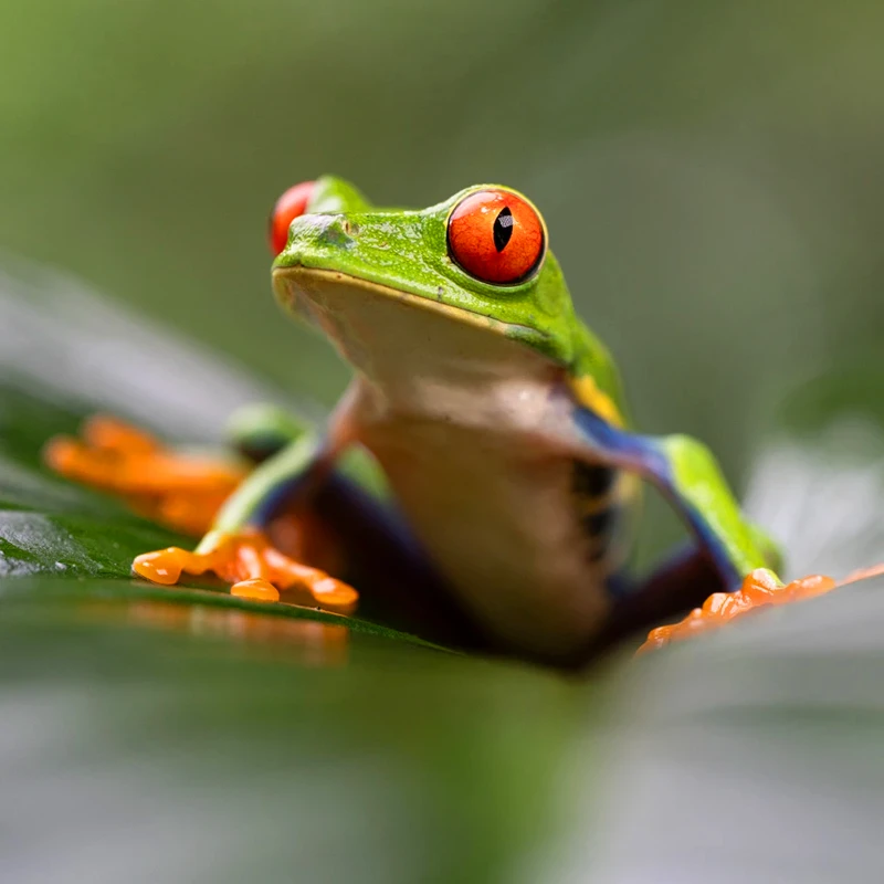 Tamron 90mm f2.8 Di III VXD Macro 