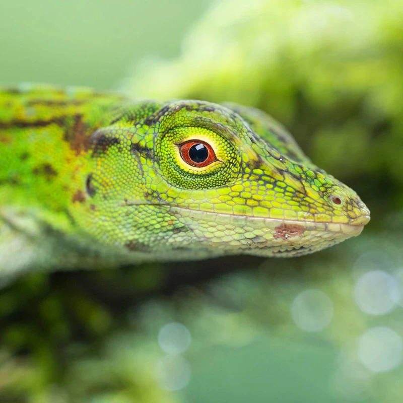 Tamron 90mm f/2.8 Di III VXD