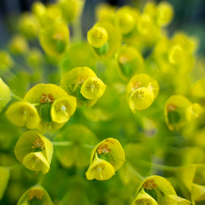 Tamron 20-40mm F/2,8 Di III VXD