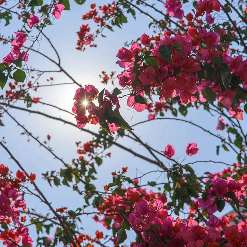 Viltrox AF 50mm F2.0 Sony E Full Frame objektiv