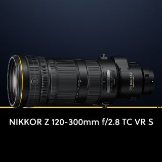 Nikon NIKKOR Z 120-300MM F/2.8 TC VR S