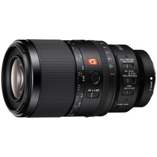 Sony FE 100mm F2.8 Makro GM OSS